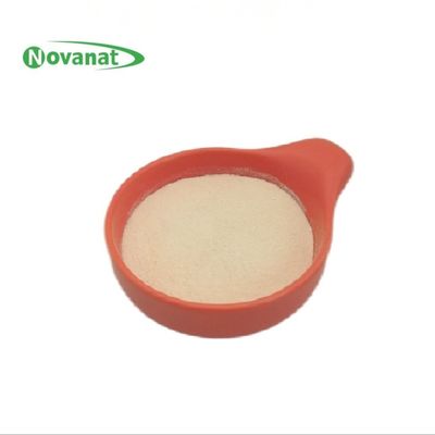 Bifidobacterium animalis subsp. lactis BI516 Postbiotics Powder Tyndallized Vegan
