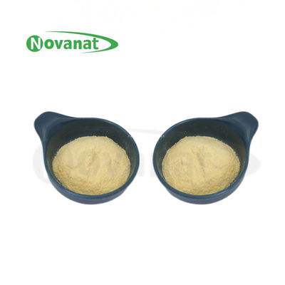 Lactiplantibacillus plantarum LP-Onlly Postbiotics Powder Tyndallized / Vegan / Allergen Free / Gluten Free / Dairy Free