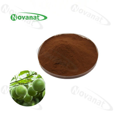 Luo Han Guo Extract 2:1/Monk Fruit Extract Mogrosides V25%/50% Water Soluble/Natural Sweetener