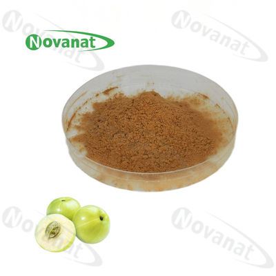 Phyllanthi Fructus Extract 25% Polyphenol/Clean Label/Allergen Free