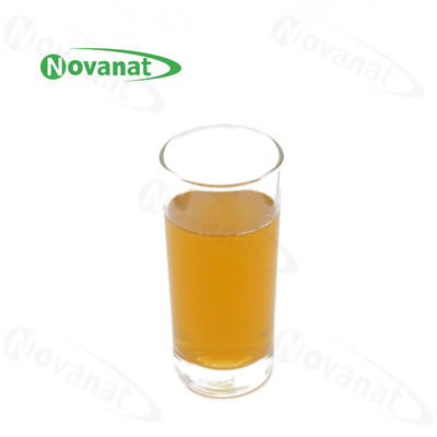 Instant White Tea Extract Powder 40% Polyphenols / Food Beverage