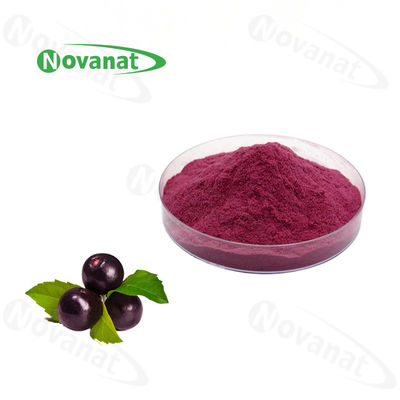 Acai Berry Extract Herbal Extract Powder Powerful Antioxidants/Clean Label/Allergen Free