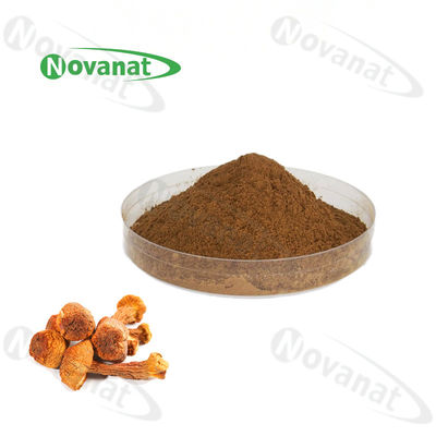 Agaricus Blazei Murill Extract Powder 40% Polysaccharides/Clean Label/Allergen Free