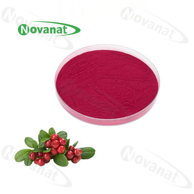 Cranberry Powder/Cranberry Concentrated Fruit Powder Extract/Pure flavor/Water Soluble/Clean Label/Allergen Free