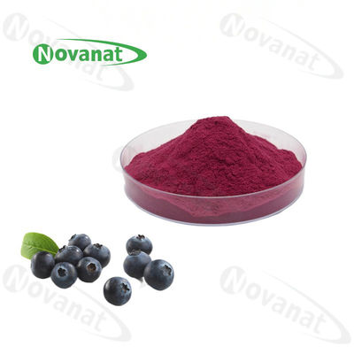 Blueberry Powder/Blueberry Concentrated Fruit Powder Extract/Pure flavor/Water Soluble/Clean Label/Allergen Free