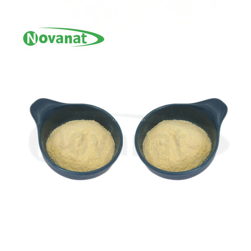 Lactiplantibacillus plantarum LP-Onlly Postbiotics Powder Tyndallized / Vegan / Allergen Free / Gluten Free / Dairy Free