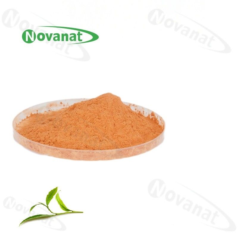 Organic Green Tea Extract Powder 60% Polyphenols/40% EGCG/Decaffeinated/Clean Label/Allergen Free