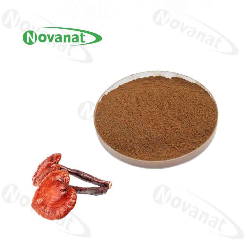 Ganoderma Lucidum Powder  / Shell-broken Ganoderma Lucidum Spore Powder 98%