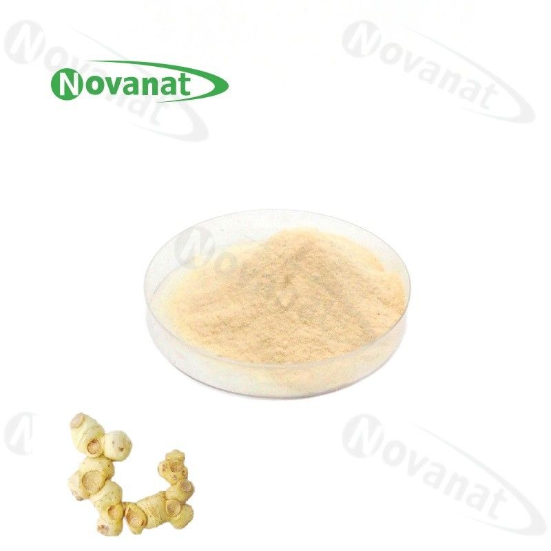 Polygonati Rhizoma Extract 15% Polysaccharides 5% Saponin /Clean Label/Allergen Free