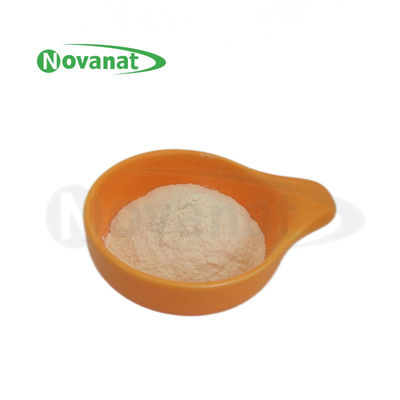 Pediococcus Acidilactici PA10 500 milliards d'UFC/g Poudre de probiotiques Vegan/Sans allergènes/Sans gluten/Sans produits laitiers