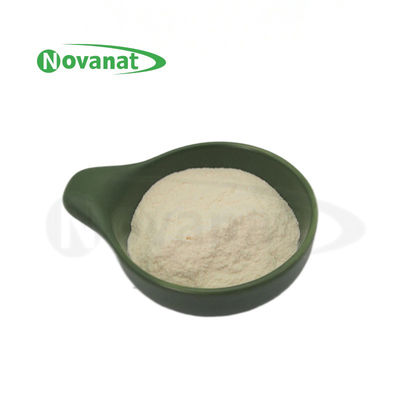 Poudre de probiotiques Levilactobacillus brevis LBr05 Vegan / Sans allergènes / Sans gluten / Sans produits laitiers