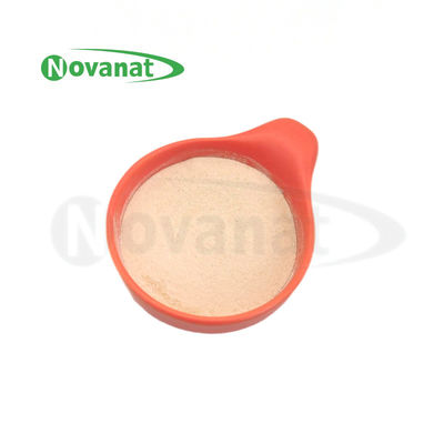 Poudre de postbiotiques Bifidobacterium animalis subsp. lactis BI516 Tyndallisée / Vegan / Sans allergènes / Sans gluten / Sans produits laitiers